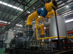 Natural Gas Compressor